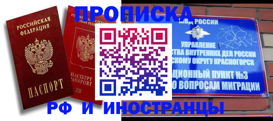 форма 3 в Камчатском крае